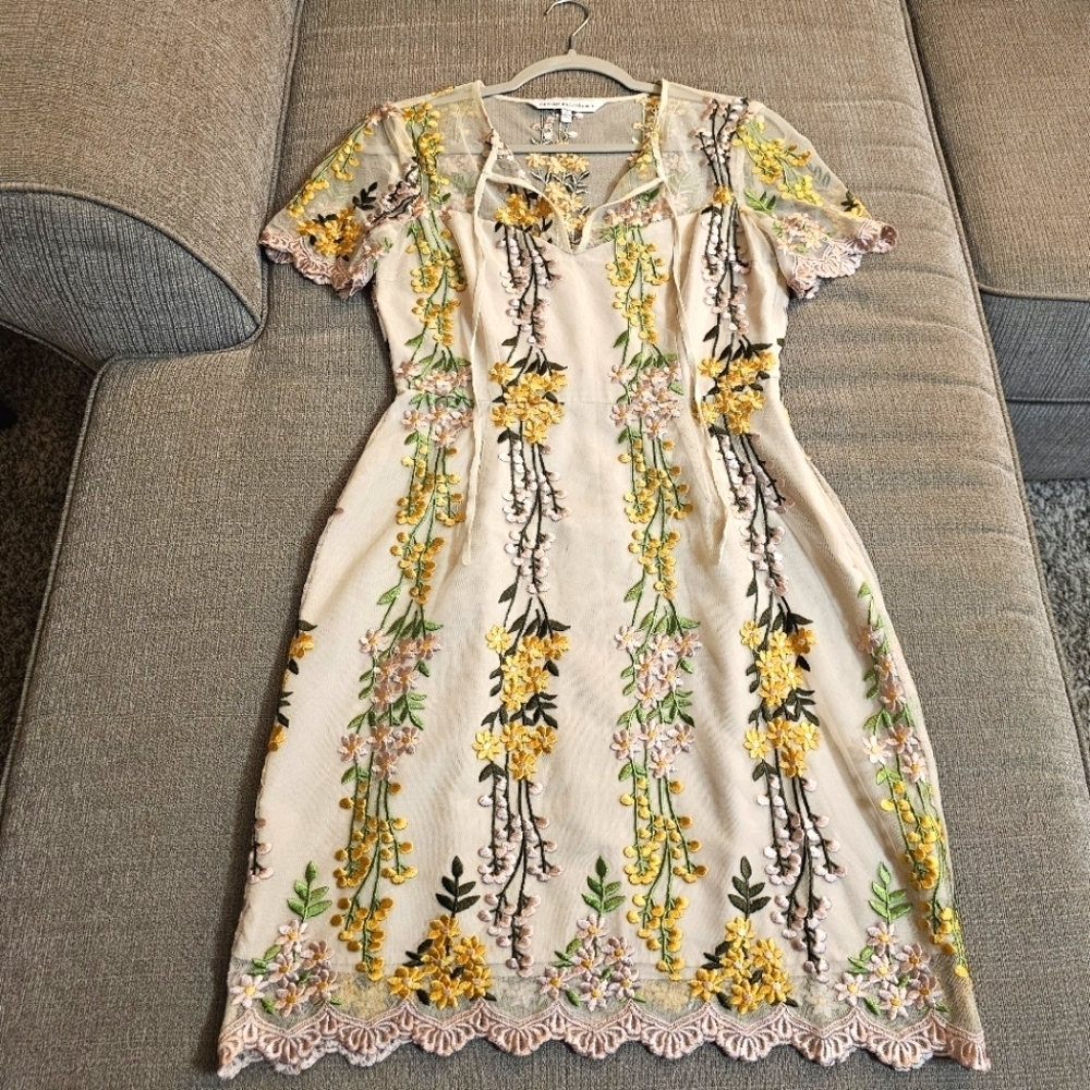 Cupcakes and Cashmere Floral Embroidered Boho Lined Cream Pink Dress Size 2
